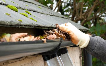 gutter cleaning Forfar, Angus