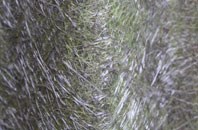 Forfar fibreglass roof work